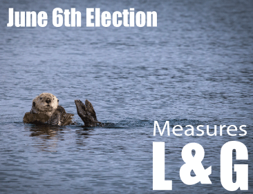 news-Flash-Template-Election