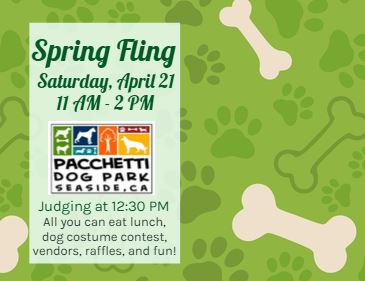 pachetti spring fling (2)