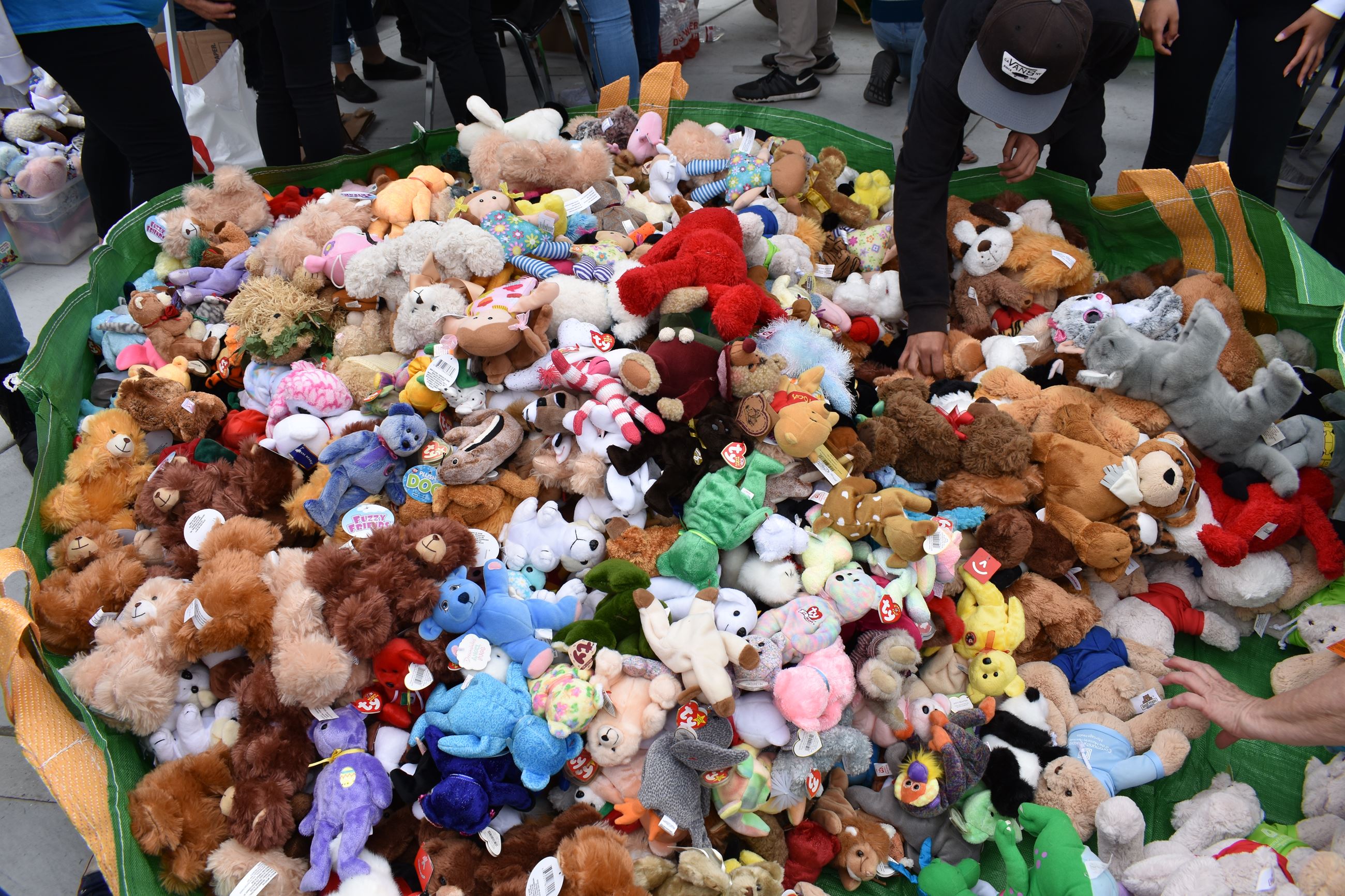 Bears and Badges (14)