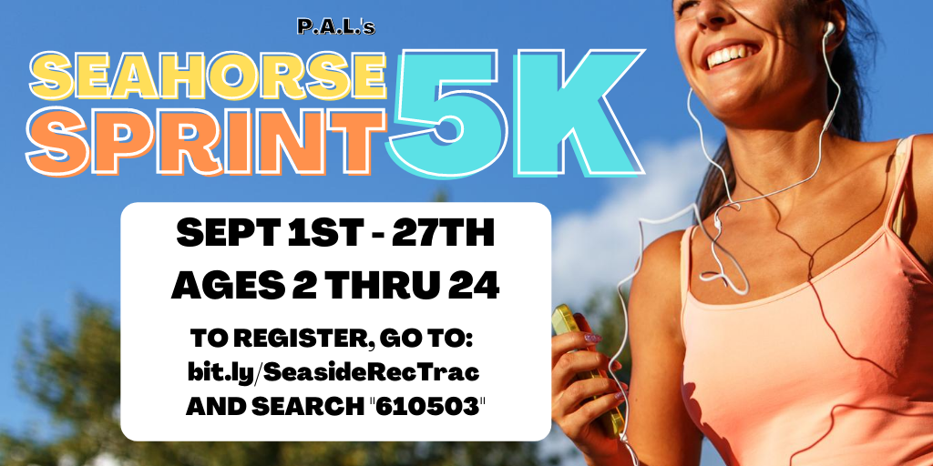 REC-SeahorseSprintCarouselv2