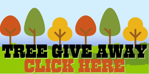 TREE GIVE AWAY
