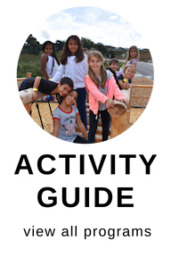 Activity Guide (2)