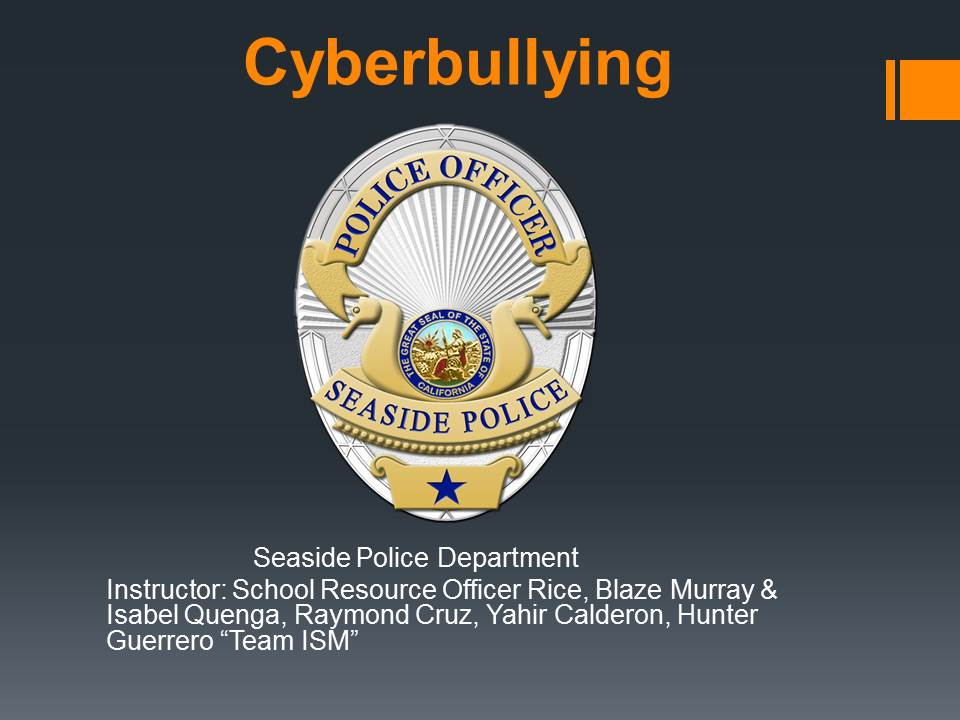 Powerpoint for Cyberbullying Opens in new window